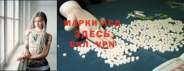 индика Армянск