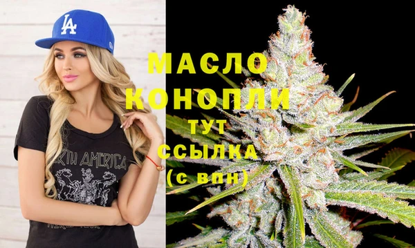 индика Армянск