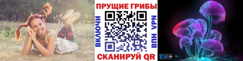 MEGA ONION  Волхов  Галлюциногенные грибы Psilocybe  цена  